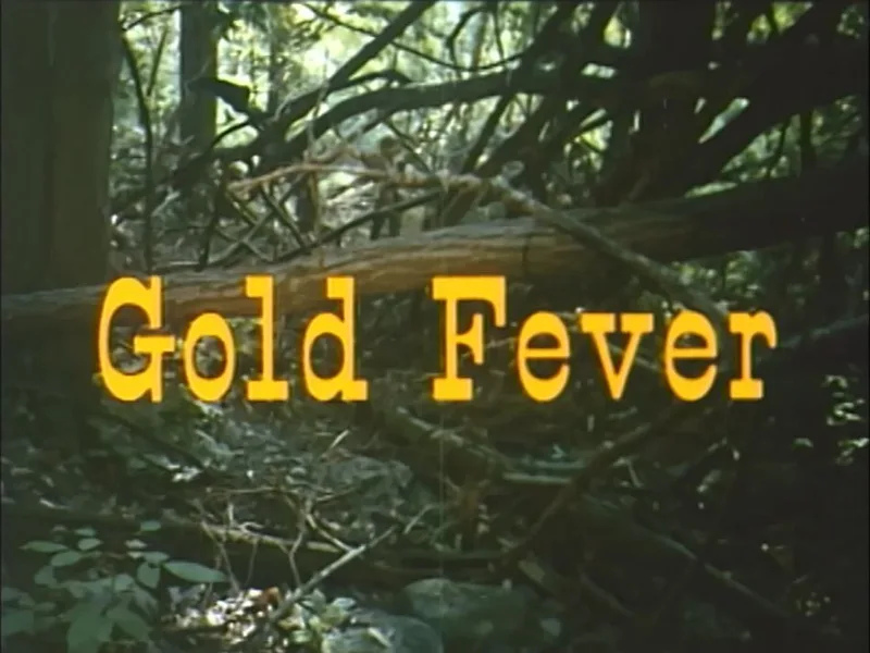 Gold Fever